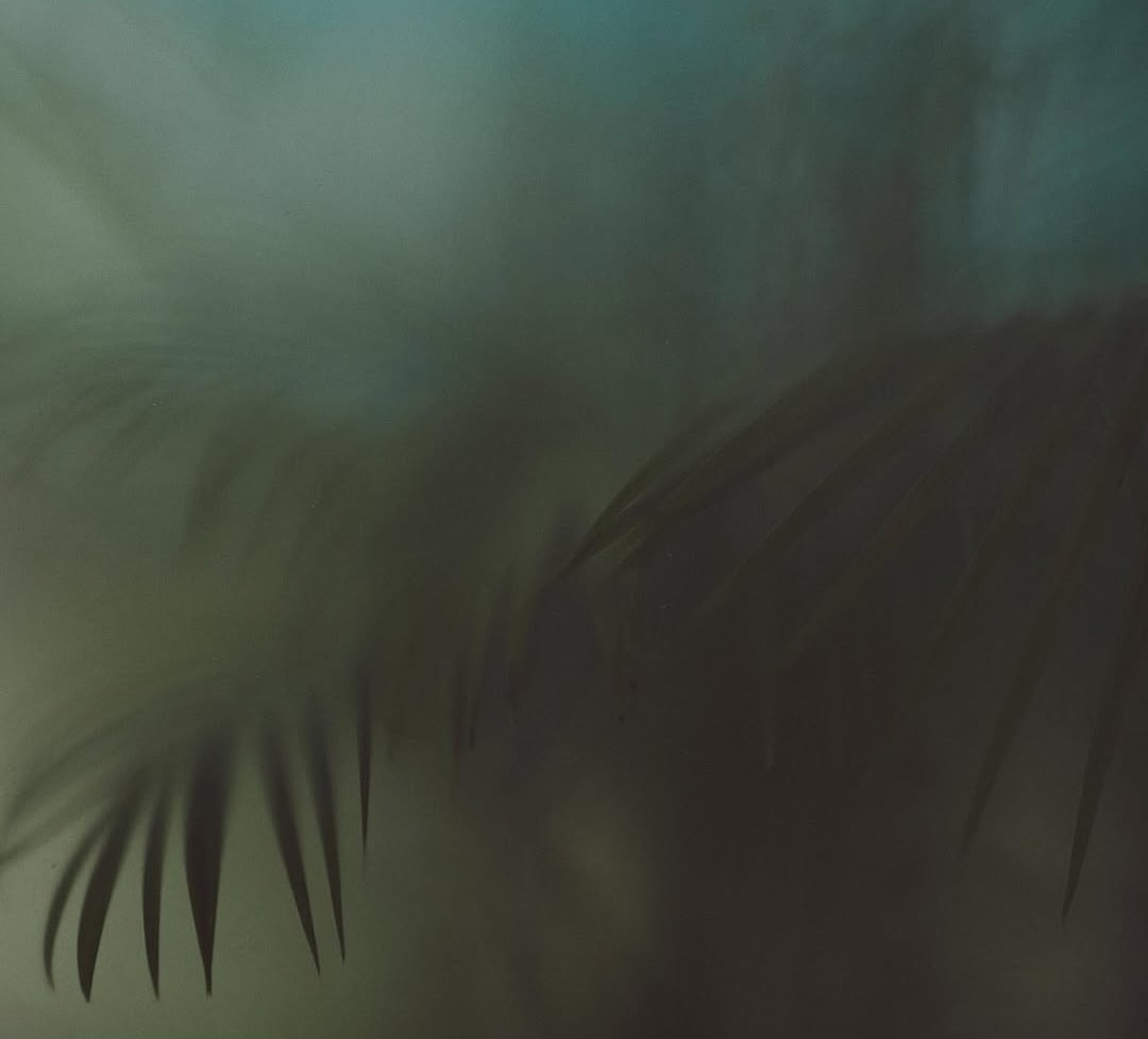 49591580 0bf7 43f7 Ad1a 29d90d80689c